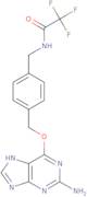 O6-[4-(Trifluoroacetamidomethyl)benzyl]guanine