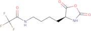 N6-Trifluoroacetyl-L-lysine N-carboxyanhydride