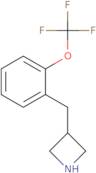 3-[[(2-Trifluoromethoxy)phenyl]methyl]azetidine