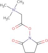 N,N,N-Trimethylglycine-N-hydroxysuccinimide ester, bromide