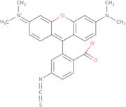 Tetramethylrhodamine-6-isothiocyanate