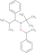 N-tert-Butyl-N-(2-methyl-1-phenylpropyl)-O-(1-phenylethyl)hydroxylamine