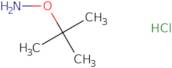 O-Tert-butylhydroxylamine hydrochloride