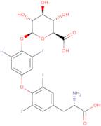 Thyroxine glucuronide