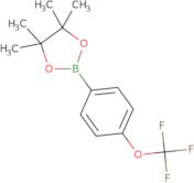 (4-(Trifluoromethoxy)phenyl) boronic acid pinacol ester