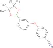 4-(3-(4,4,5,5-Tetramethyl-1,3,2-dioxaborolan-2-yl)phenoxy)benzonitrile