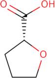(R)-(+)-Tetrahydro-2-furoic acid