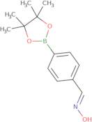 (Z)-4-(4,4,5,5-Tetramethyl-1,3,2-dioxaborolan-2-yl)benzaldehyde oxime