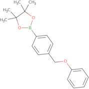 4,4,5,5-TetraMethyl-2-(4-phenoxyMethyl-phenyl)-[1,3,2]dioxaborolane