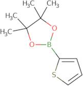 2-ThiopheneboRonic acid pinacol esteR
