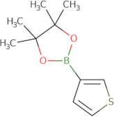 3-ThiopheneboRonic acid pinacol esteR