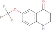 6-(Trifluoromethoxy)quinolin-4-ol