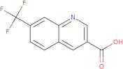 7-(Trifluoromethyl)quinoline-3-carboxylic acid