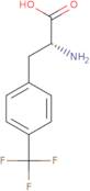 p-Trifluoromethyl-D-phenylalanine
