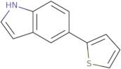 5-(2-Thienyl)-1H-indole