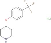 4-[4-(Trifluoromethyl)phenoxy]piperidine hydrochloride