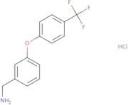 3-[4-(Trifluoromethyl)Phenoxy]Benzylamine Hydrochloride