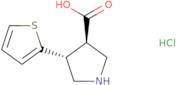 (±)-trans-4-(2-Thienyl)pyrrolidine-3-carboxylic acid hydrochloride