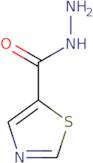 Thiazole-5-carboxylic acid hydrazide