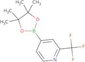 2-Trifluoromethylpyridine-4-boronic acid pinacol ester