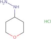 Tetrahydro-2H-pyran-4-ylhydrazine hydrochloride