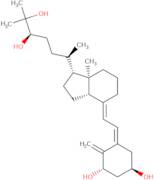 (24R)-24-Hydroxycalcitriol