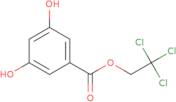 2,2,2-Trichloroethyl 3,5-Dihydroxybenzoate - in DCM