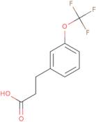 3-(Trifluoromethoxy)hydrocinnamic acid