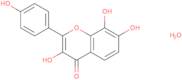 3,7,8,4'-Tetrahydroxyflavone