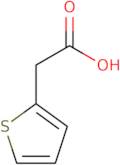 Thiophene-2-acetic acid