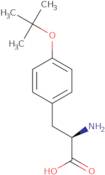 H-Tyr(tBu)-2-Chlorotrityl Resin