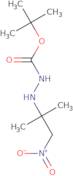 tert-Butyl 2-(2-methyl-1-nitropropan-2-yl)hydrazinecarboxylate