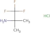 1,1,1-Trifluoro-2-methyl-