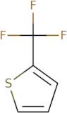 2-(Trifluoromethyl)thiophene