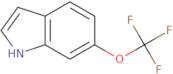 6-Trifluoromethoxy-1H-indole