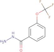 3-(Trifluoromethoxy)benzhydrazide