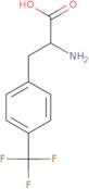 4-(Trifluoromethyl)-DL-phenylalanine