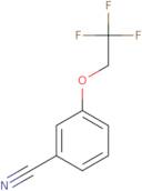 3-(2,2,2-Trifluoroethoxy)benzonitrile