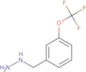 [3-(Trifluoromethoxy)benzyl]hydrazine