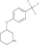 3-[4-(Trifluoromethyl)phenoxy]piperidine