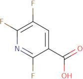 2,5,6-trifluoropyridine-3-carboxylic acid