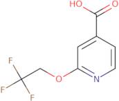 2-(2,2,2-Trifluoroethoxy)Isonicotinic Acid