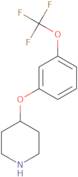 4-[3-(Trifluoromethoxy)Phenoxy]-Piperidine