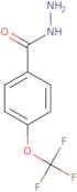 4-(Trifluoromethoxy)-Benzoic Acid Hydrazide
