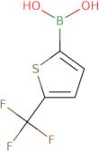 [5-(Trifluoromethyl)-2-thienyl]boronic acid