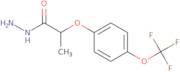 2-[4-(Trifluoromethoxy)Phenoxy]Propanehydrazide