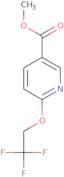 6-(2,2,2-Trifluoroethoxy)Nicotinic Acid Methyl Ester