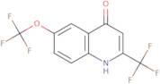 6-(Trifluoromethoxy)-2-(Trifluoromethyl)-4-Quinolinol