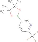 2-Trifluoromethylpyridine-5-boronic acid pinacol ester