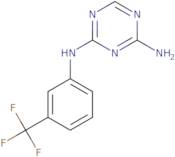 N2-[3-(Trifluoromethyl)Phenyl]-1,3,5-Triazine-2,4-Diamine
